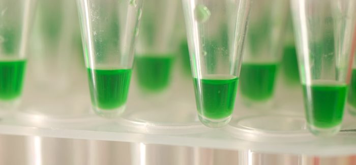 lab vials with green samples