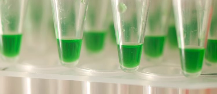 lab vials with green samples