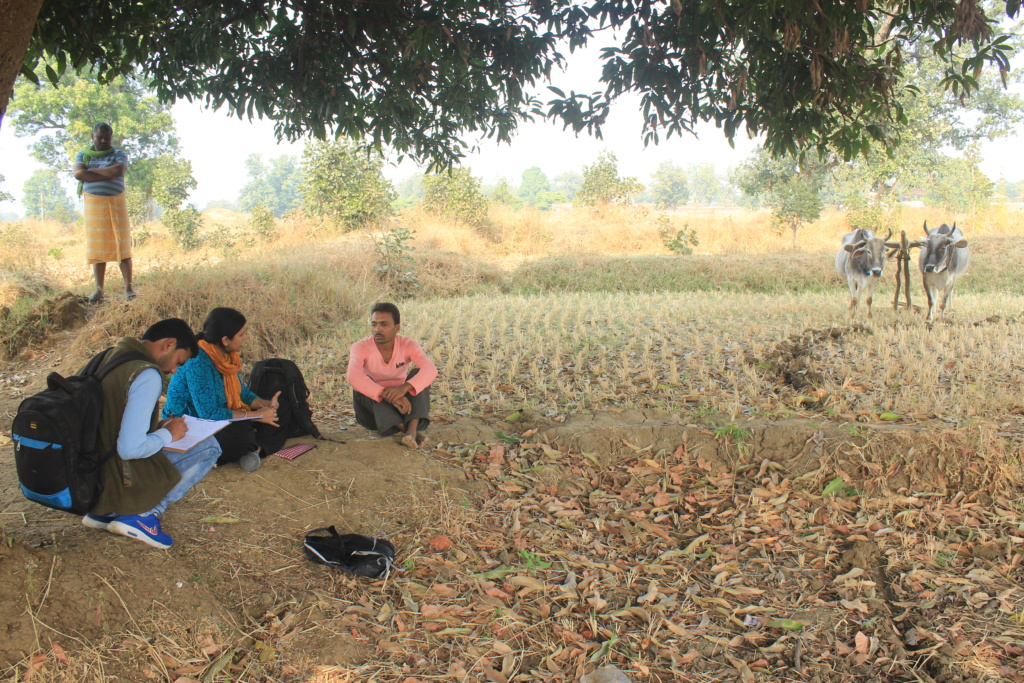 Is it enough to be ambitious to reverse biodiversity loss?